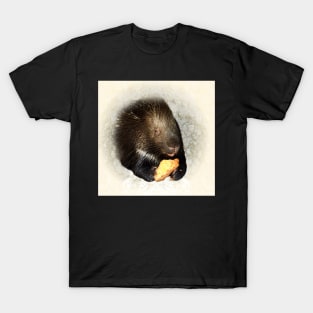 Crested porcupine T-Shirt